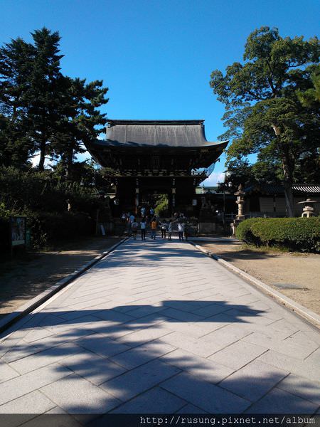 WP_003806.jpg