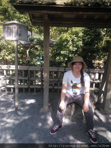 WP_003794.jpg