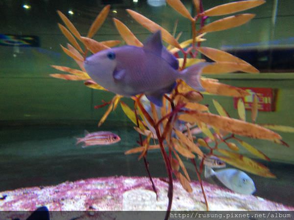 IMG_1079.JPG