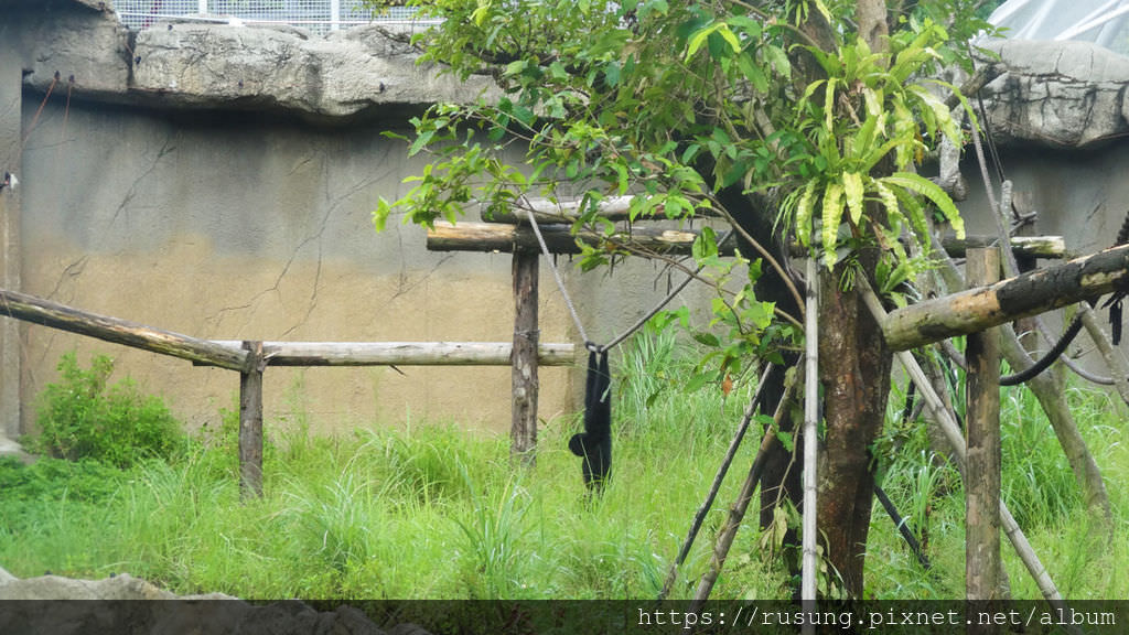 台北市立木柵動物園.jpg