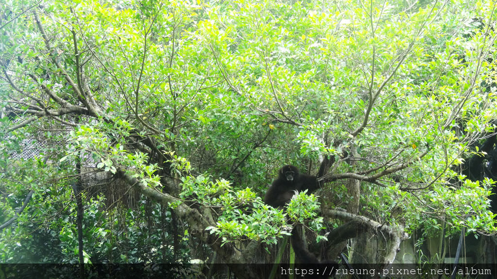 台北市立木柵動物園.jpg