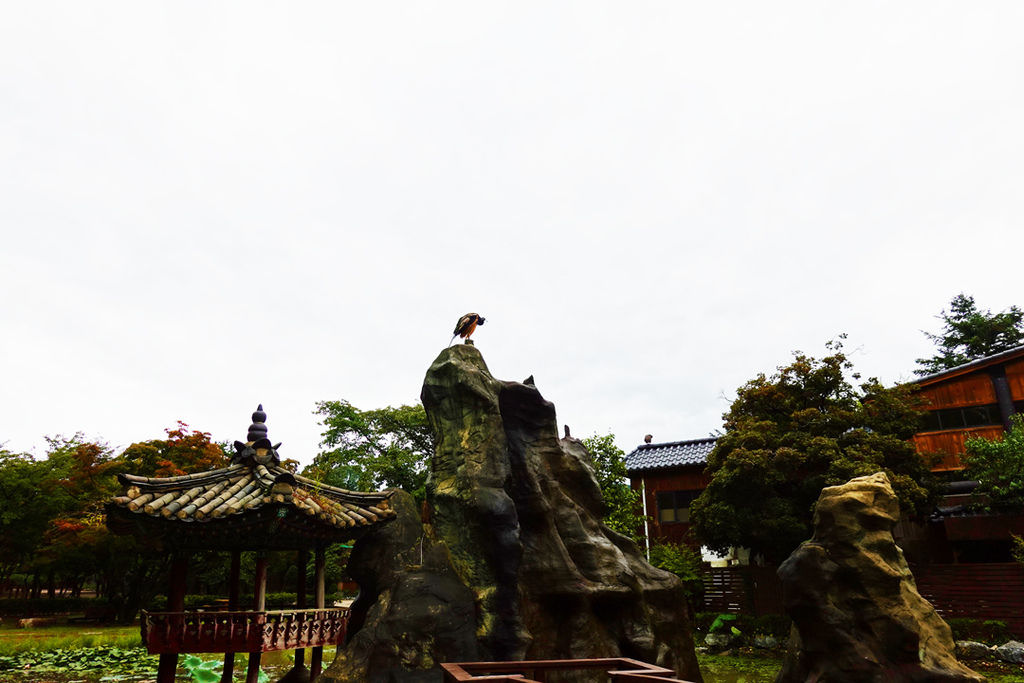 DSC00277.jpg
