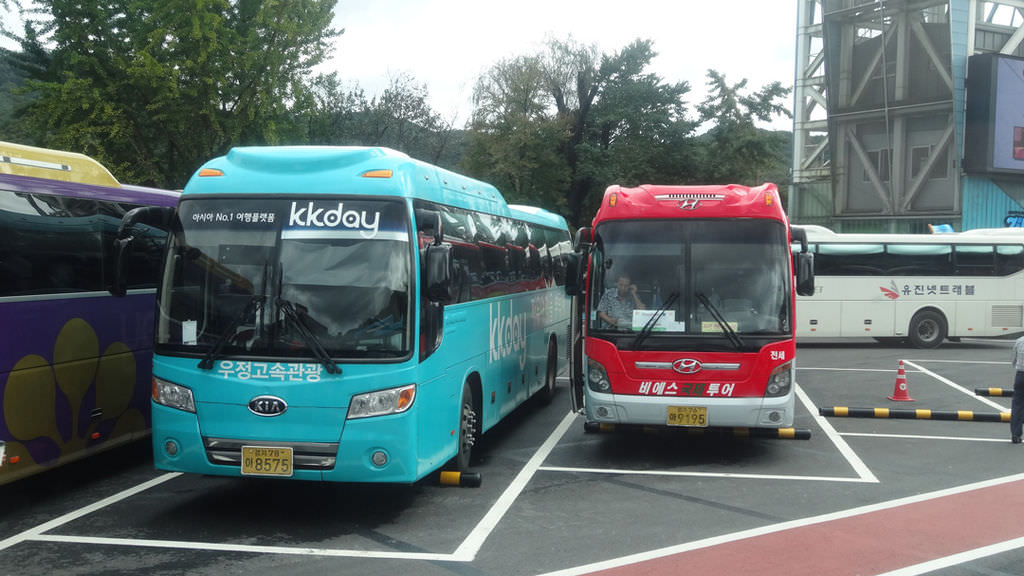 DSC09695.jpg