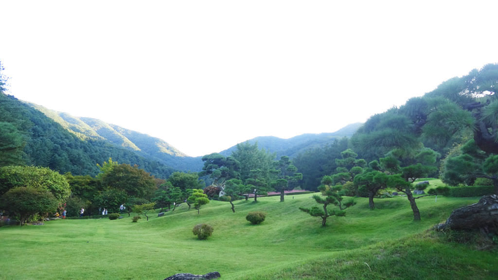 DSC09753.jpg
