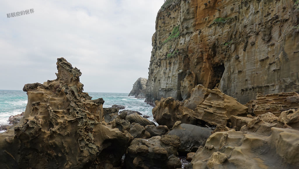 DSC09507.jpg