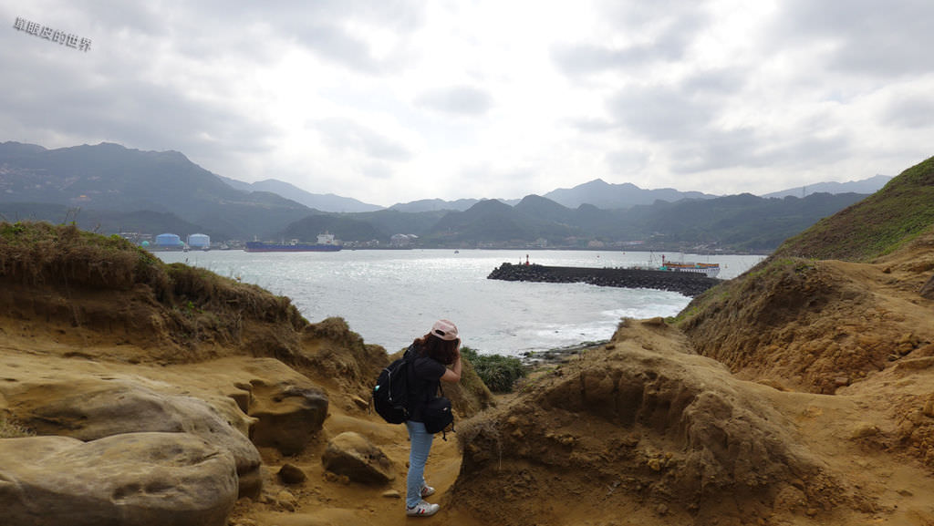 DSC09542.jpg