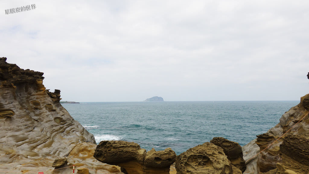 DSC09570.jpg