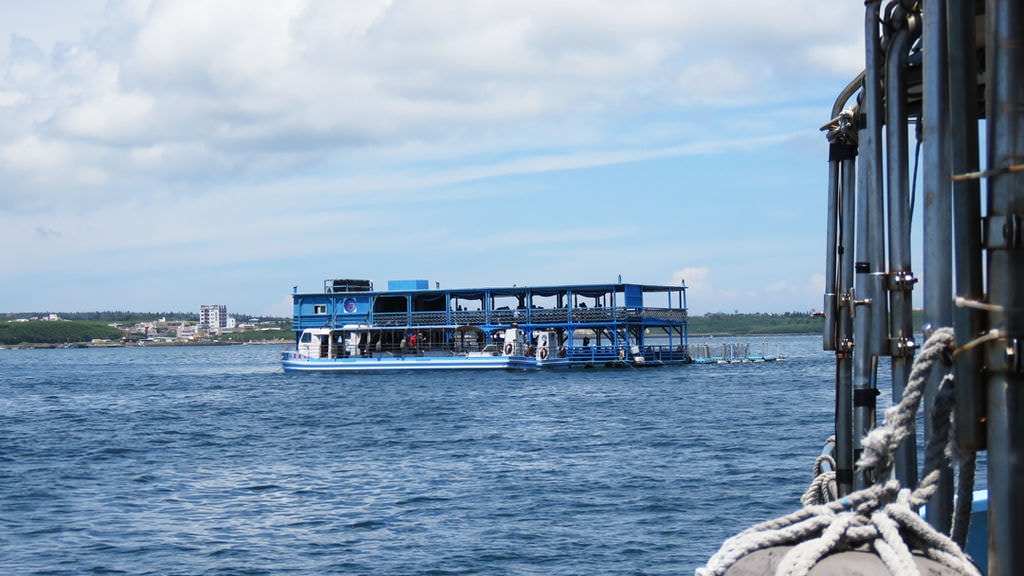 IMG_3979.jpg IMG_3979.jpg