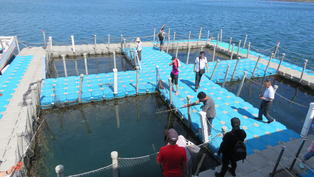 IMG_3997.jpg IMG_3997.jpg