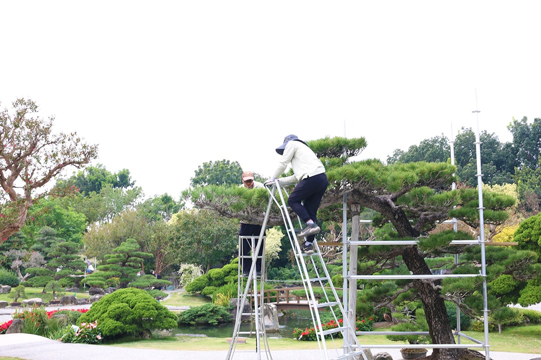 中台灣網美打卡聖地!彰化永靖熱門觀光景點│成美文化園 - 第4張圖