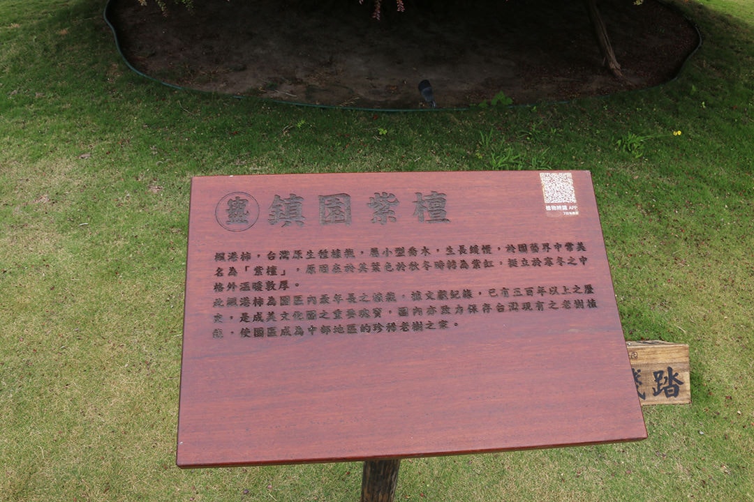 中台灣網美打卡聖地!彰化永靖熱門觀光景點│成美文化園 - 第2張圖