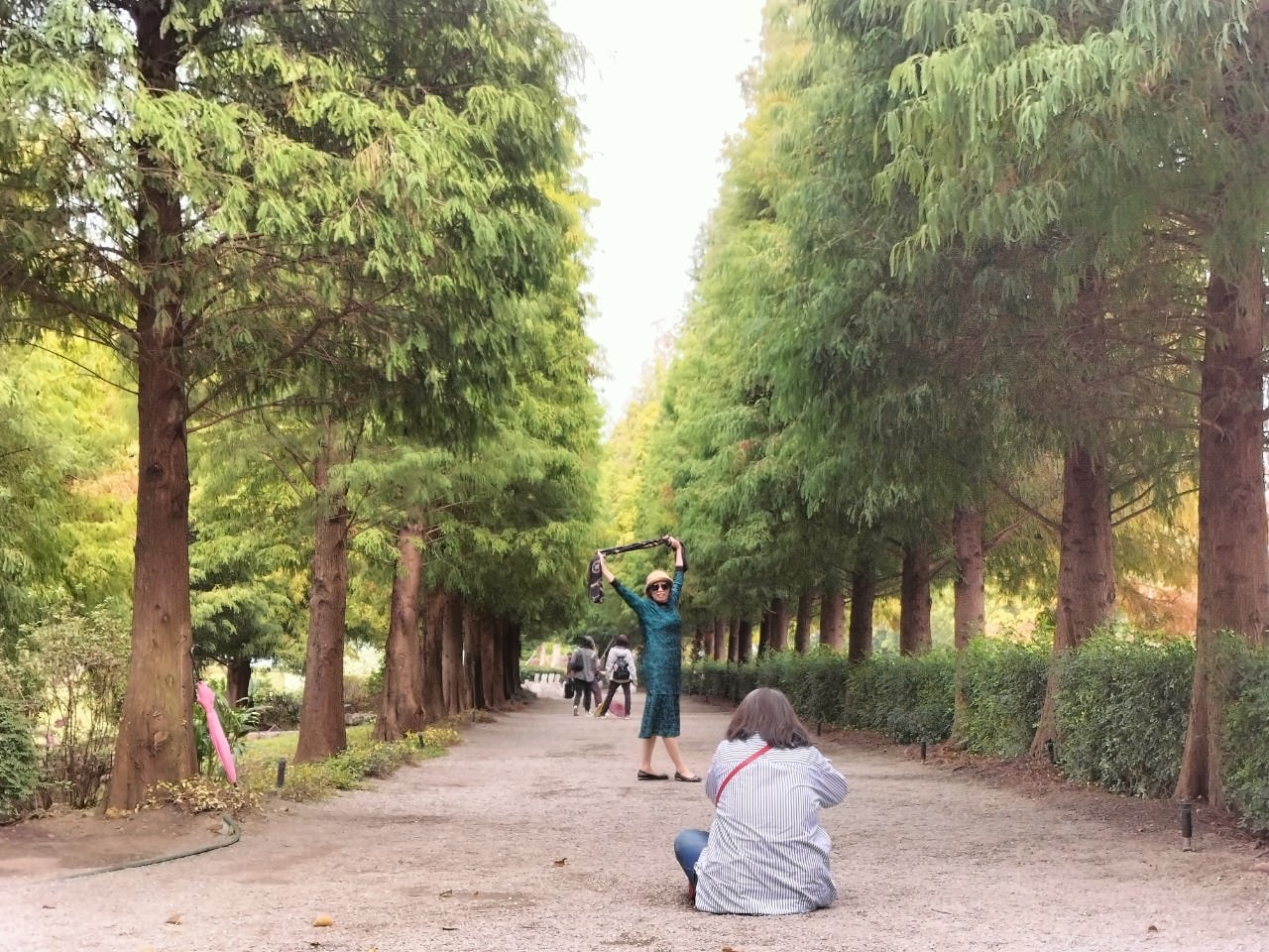 中台灣網美打卡聖地!彰化永靖熱門觀光景點│成美文化園 - 第17張圖
