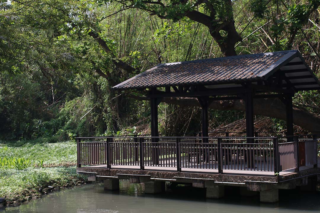 【11月周末小旅行】 小琉球兩天一夜行程規劃心得感想 - 第4張圖