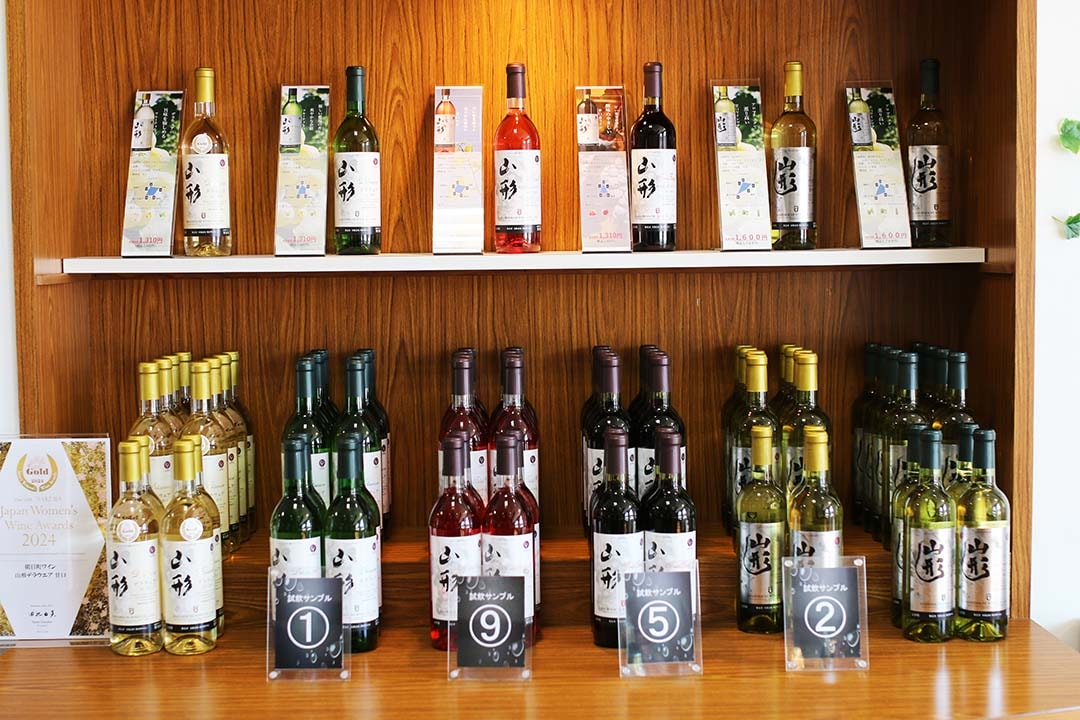 【朝日町紅酒城 / 朝日町ワイン】日本好酒釀製廠參觀 免費紅酒喝到飽!東北行自駕必玩景點 - 第2張圖