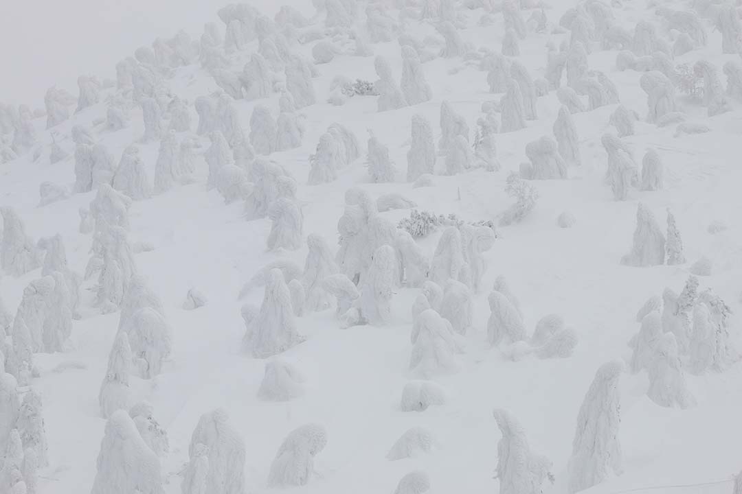 青森冬日旅遊推薦【八甲田樹冰】超美超壯觀,保暖記得要做好! - 第14張圖
